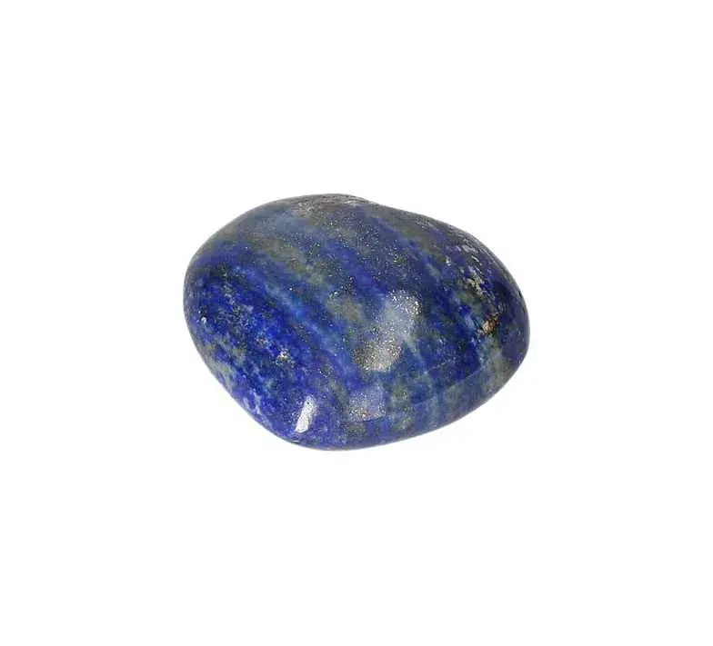 orbitvu|type:image2d