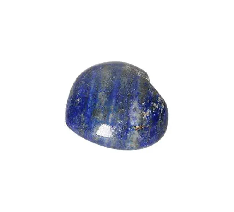 orbitvu|type:image2d