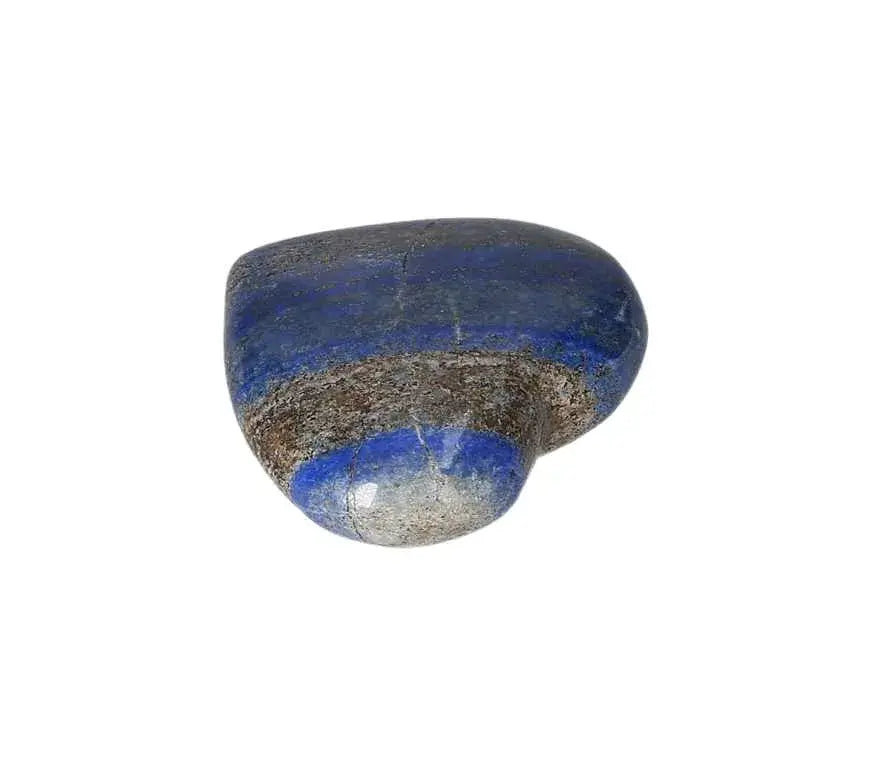 orbitvu|type:image2d