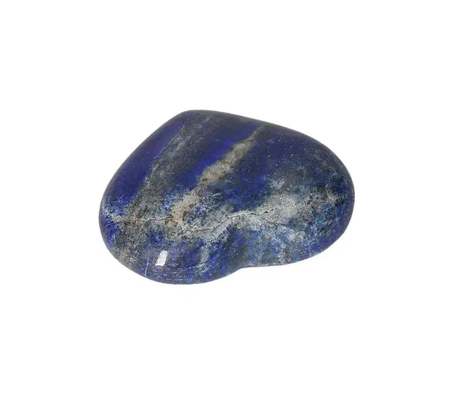 orbitvu|type:image2d