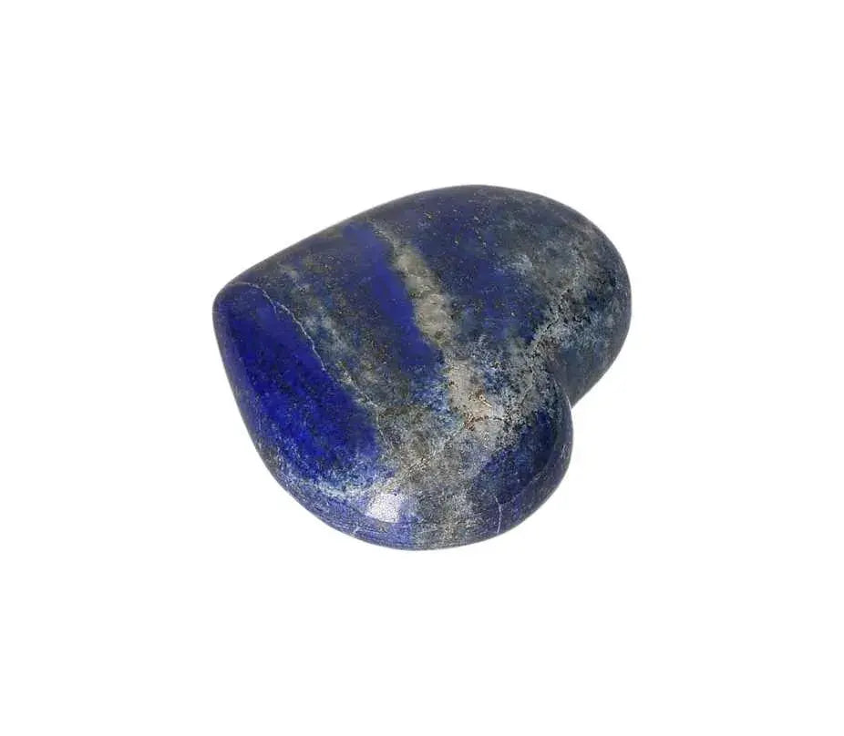 orbitvu|type:image2d