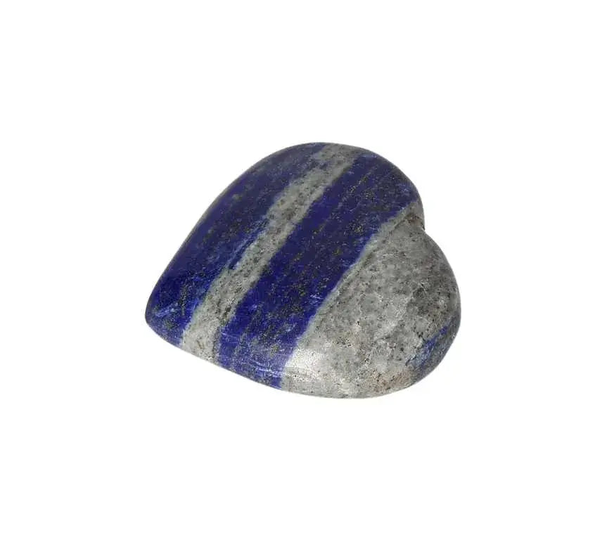 orbitvu|type:image2d