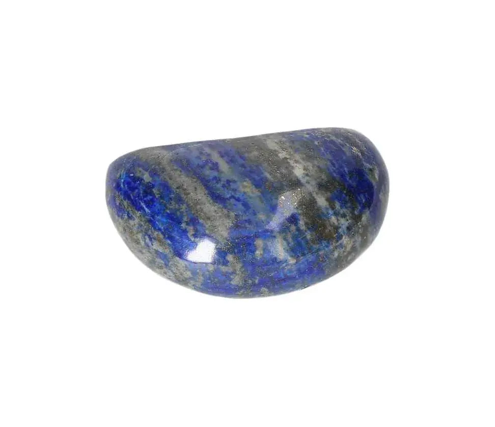 orbitvu|type:image2d