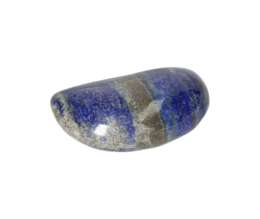 orbitvu|type:image2d