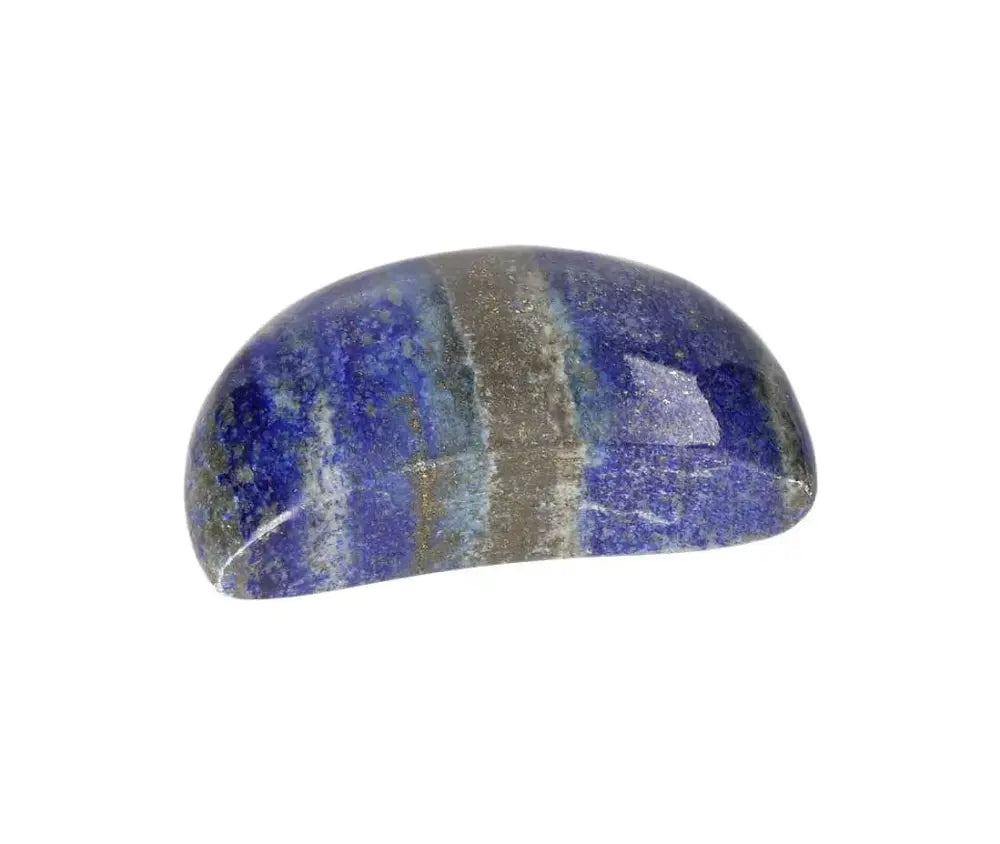 orbitvu|type:image2d