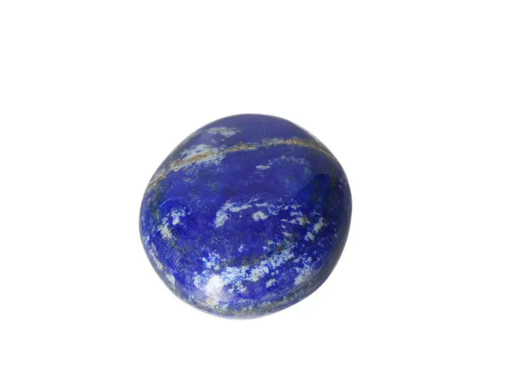 orbitvu|type:image2d