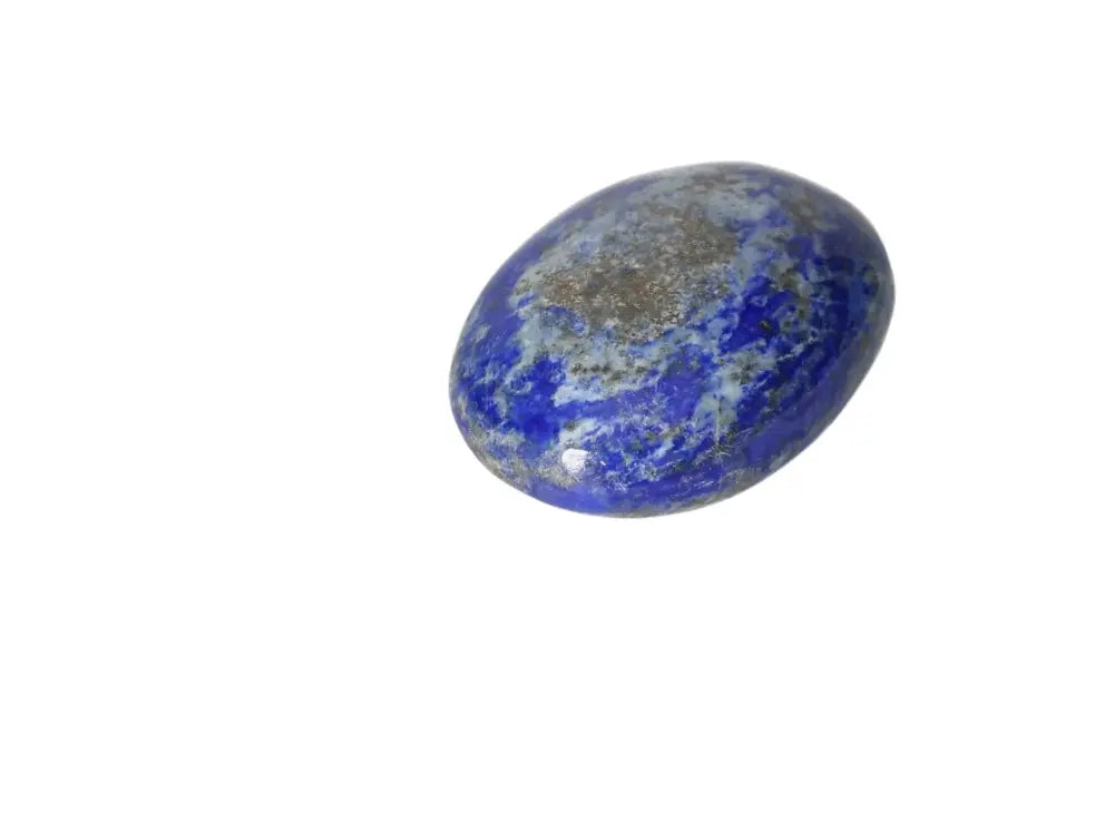 orbitvu|type:image2d