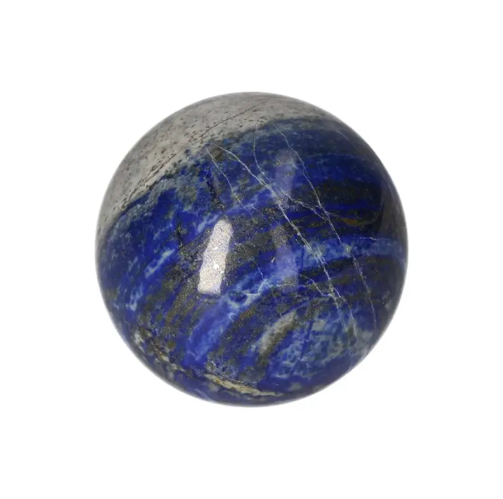 orbitvu|type:image2d