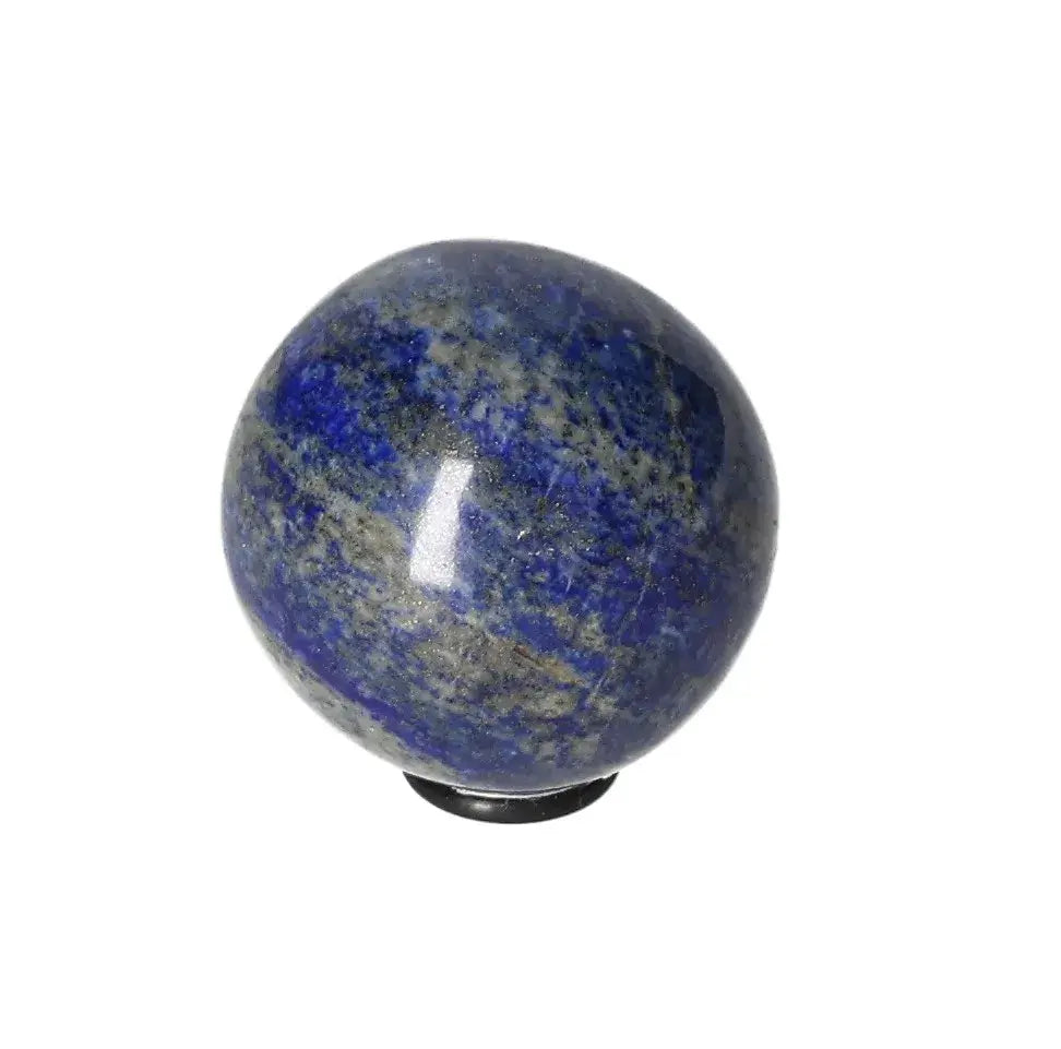 orbitvu|type:image2d