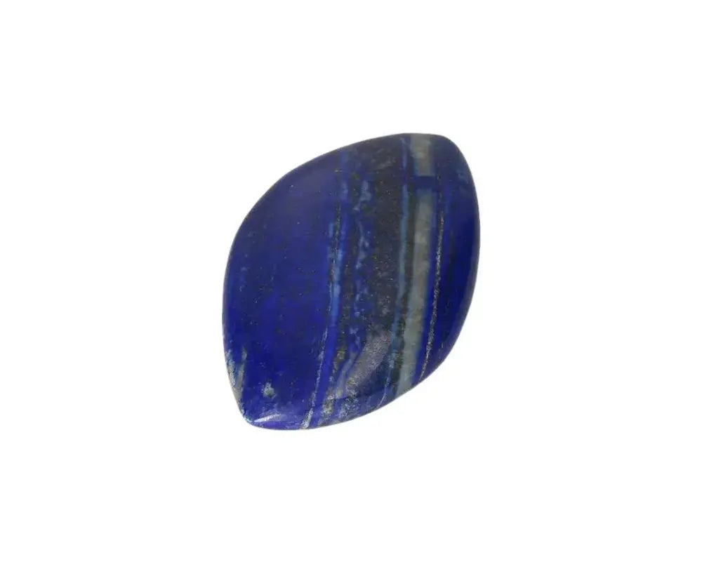 orbitvu|type:image2d