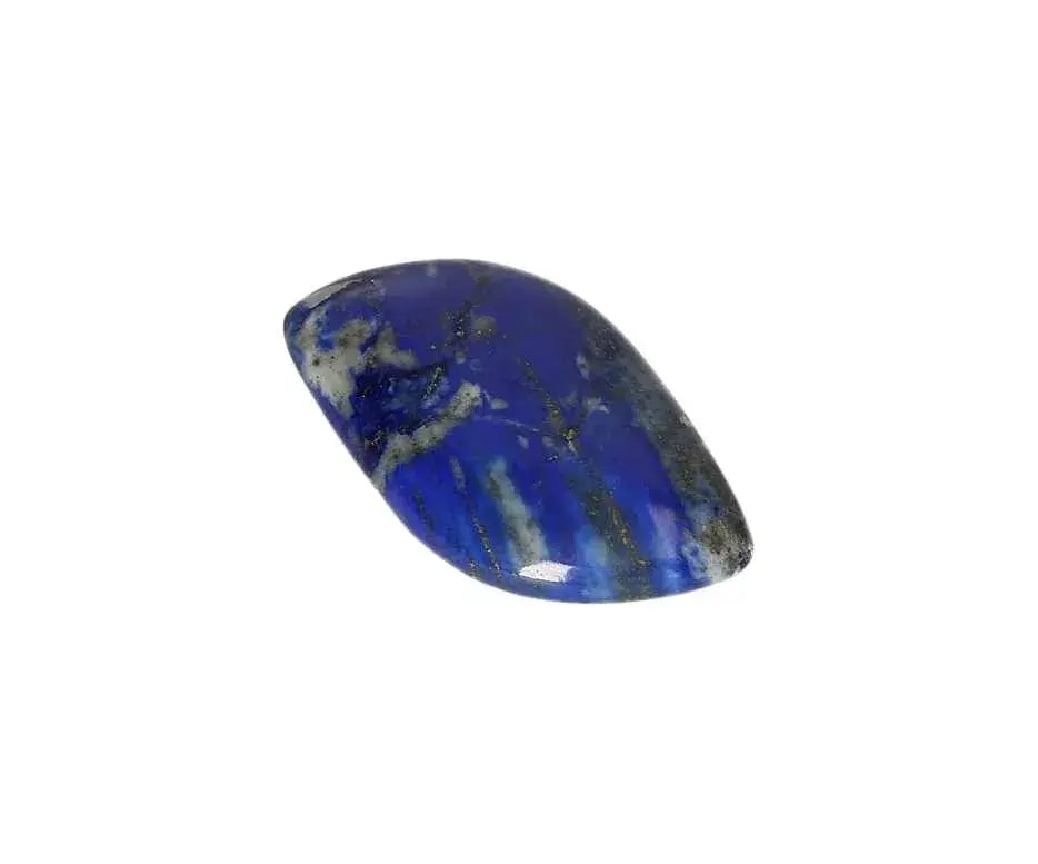 orbitvu|type:image2d