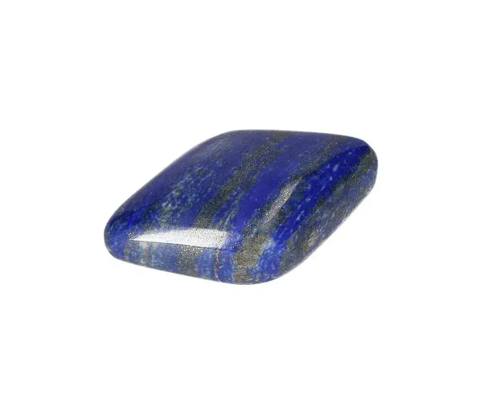 orbitvu|type:image2d