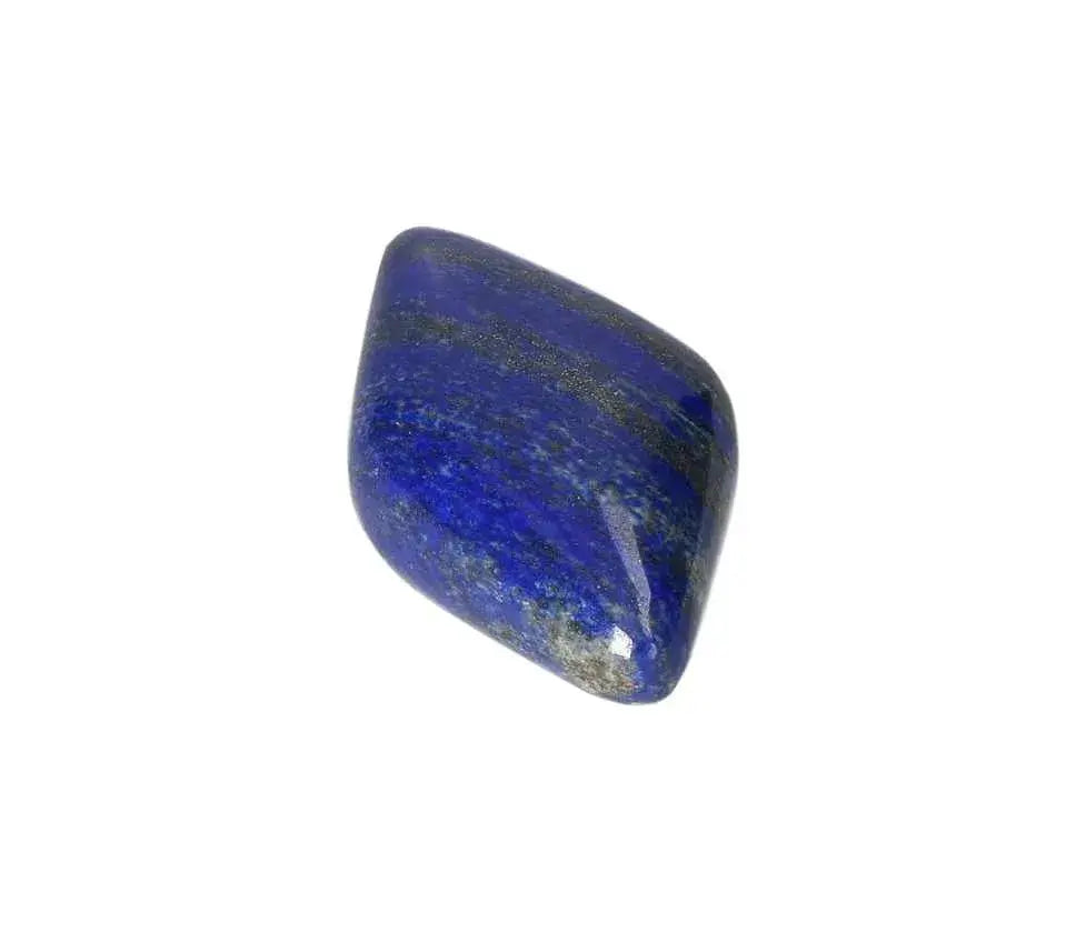 orbitvu|type:image2d