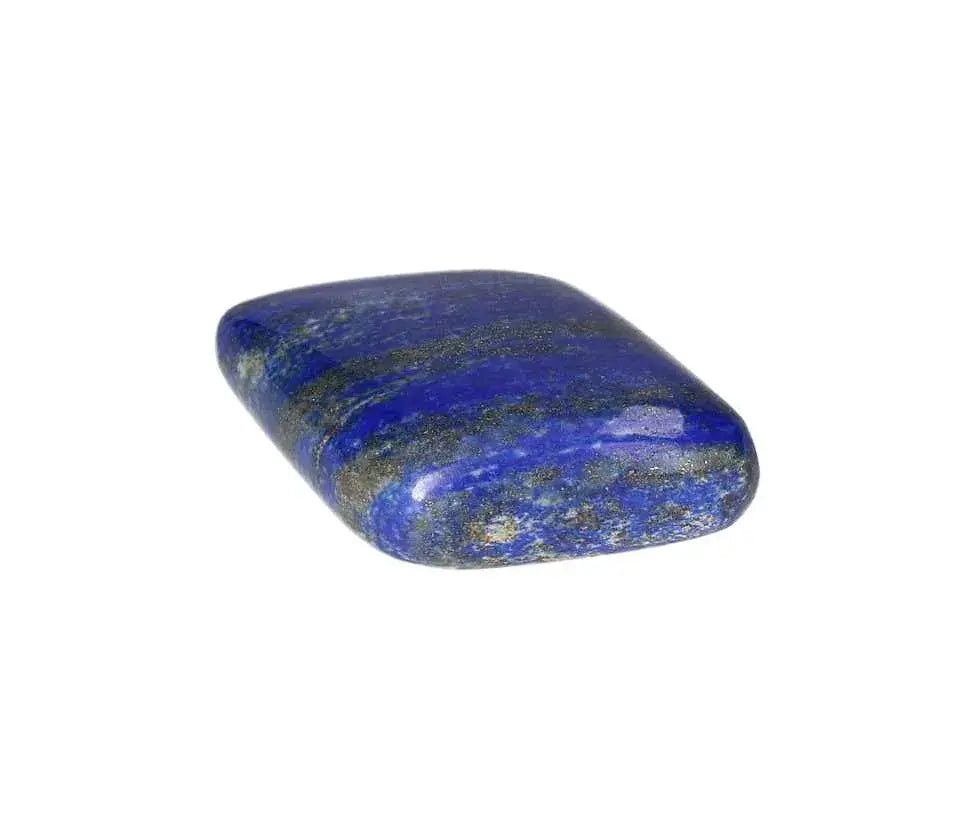 orbitvu|type:image2d