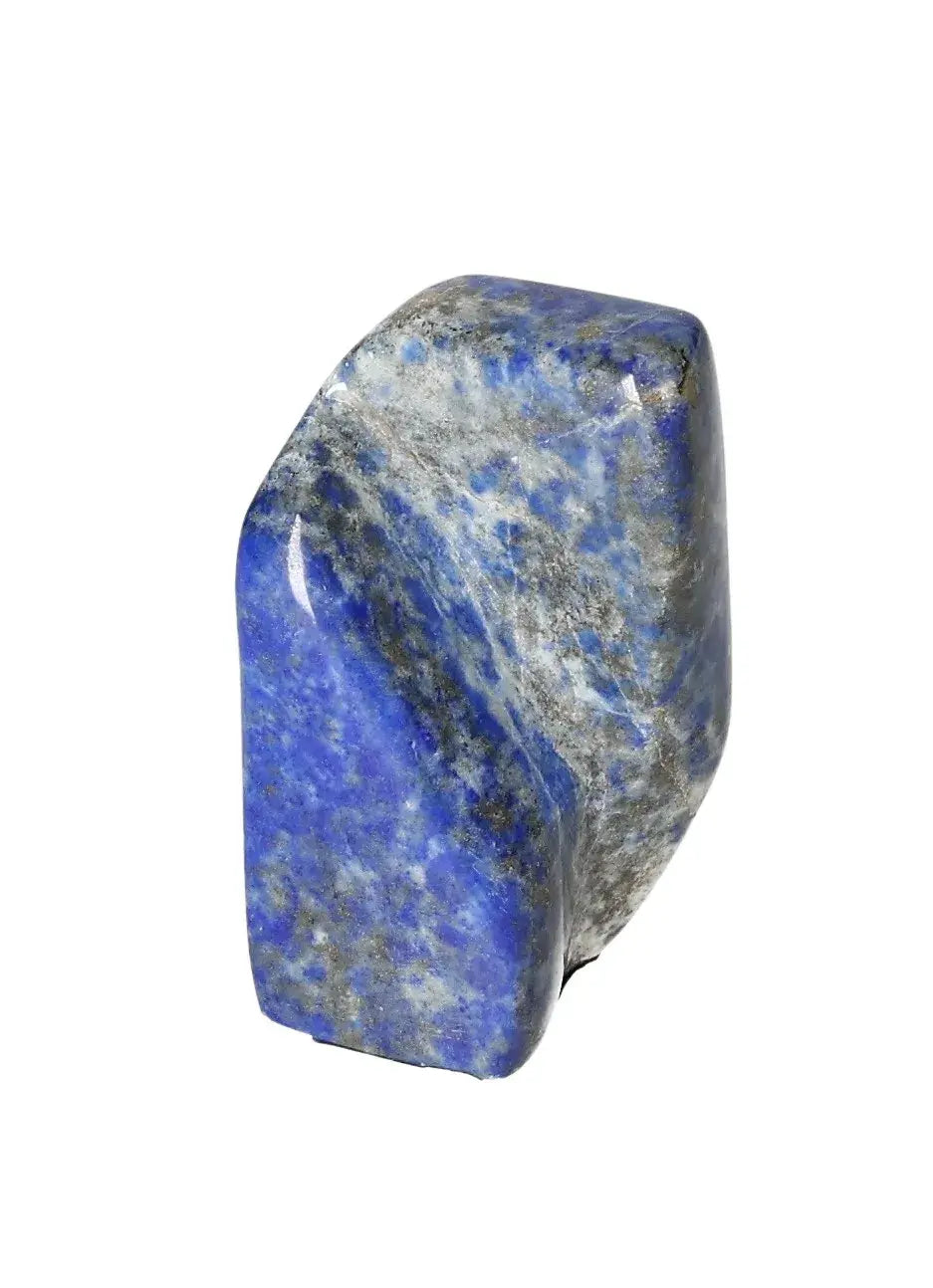 orbitvu|type:image2d