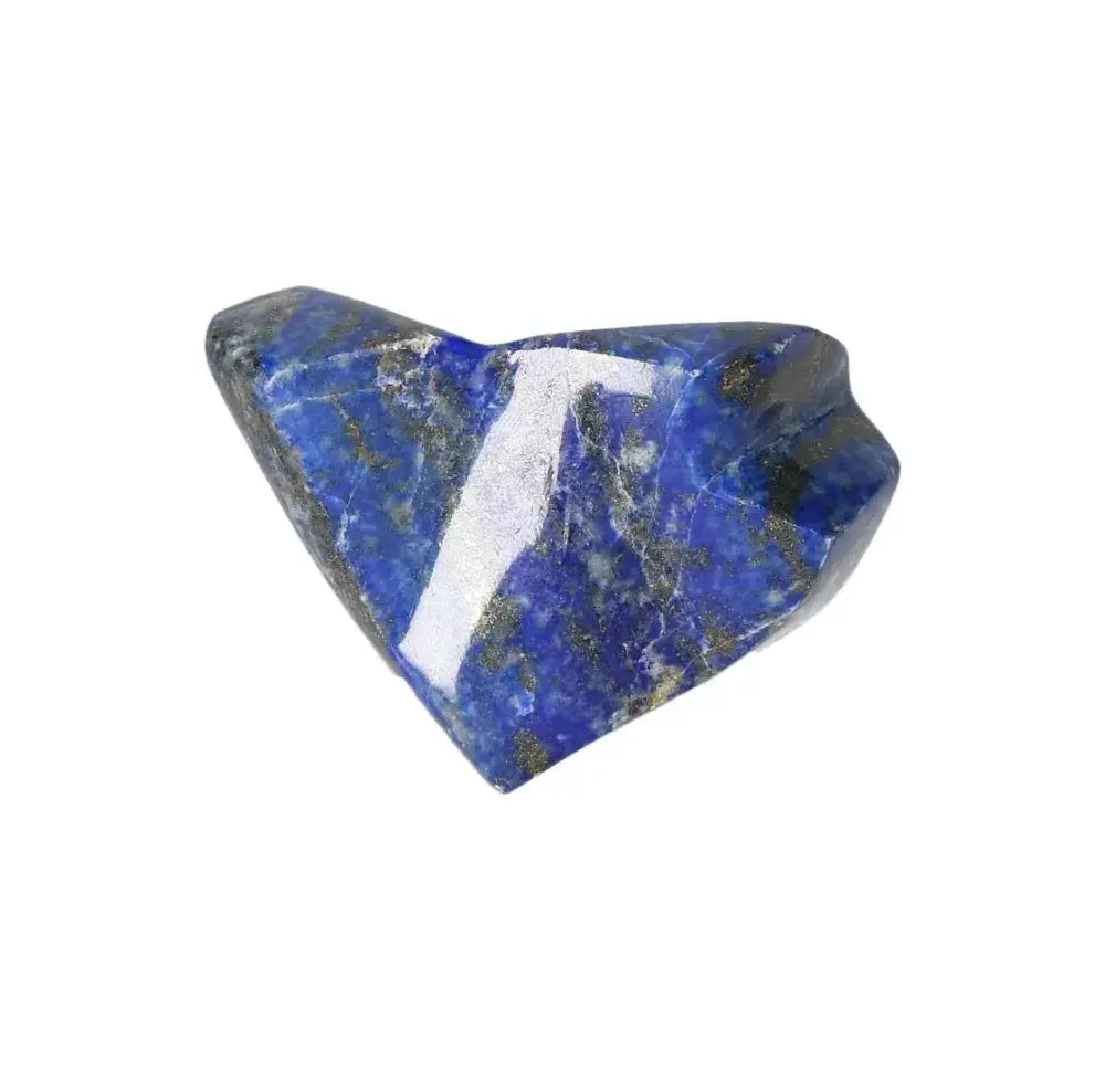 orbitvu|type:image2d