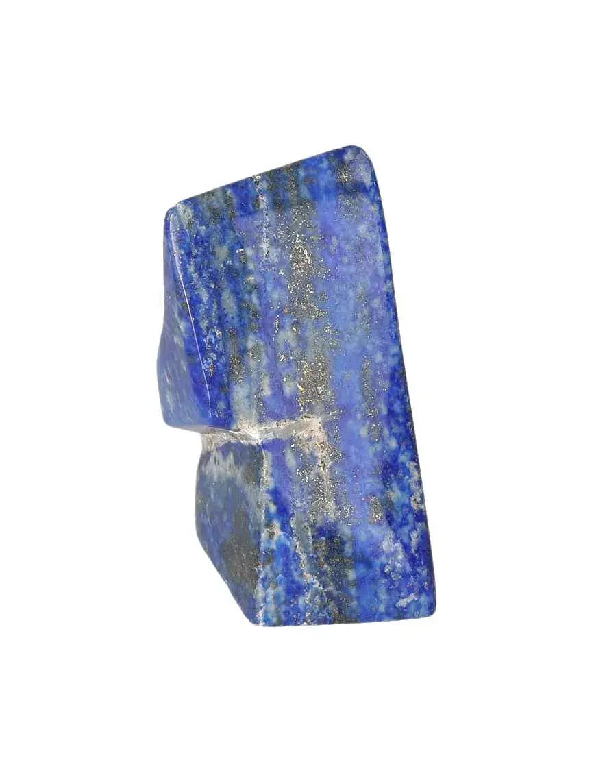 orbitvu|type:image2d