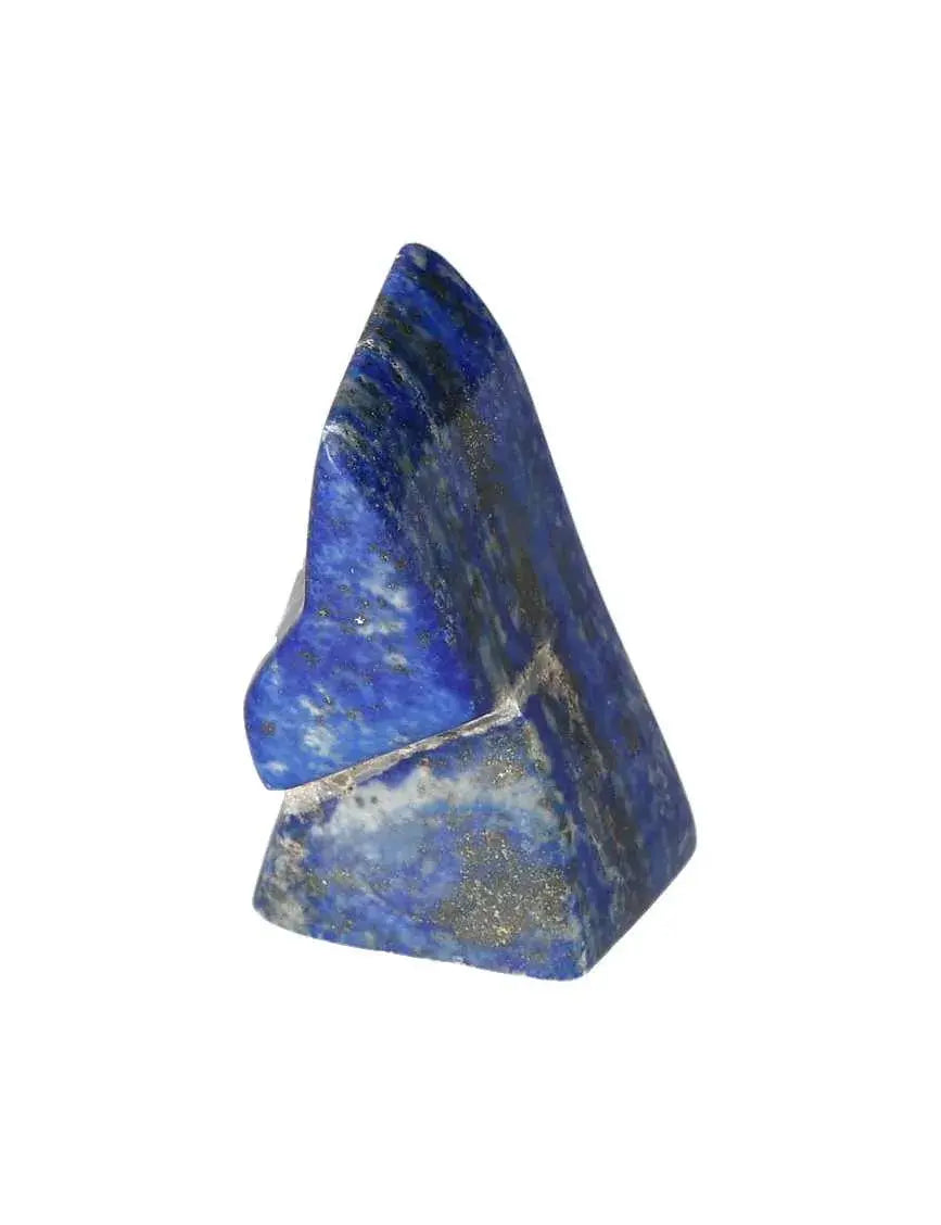 orbitvu|type:image2d