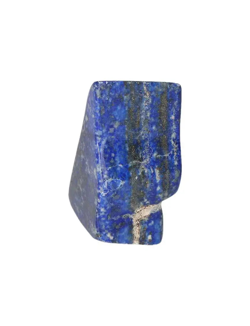 orbitvu|type:image2d