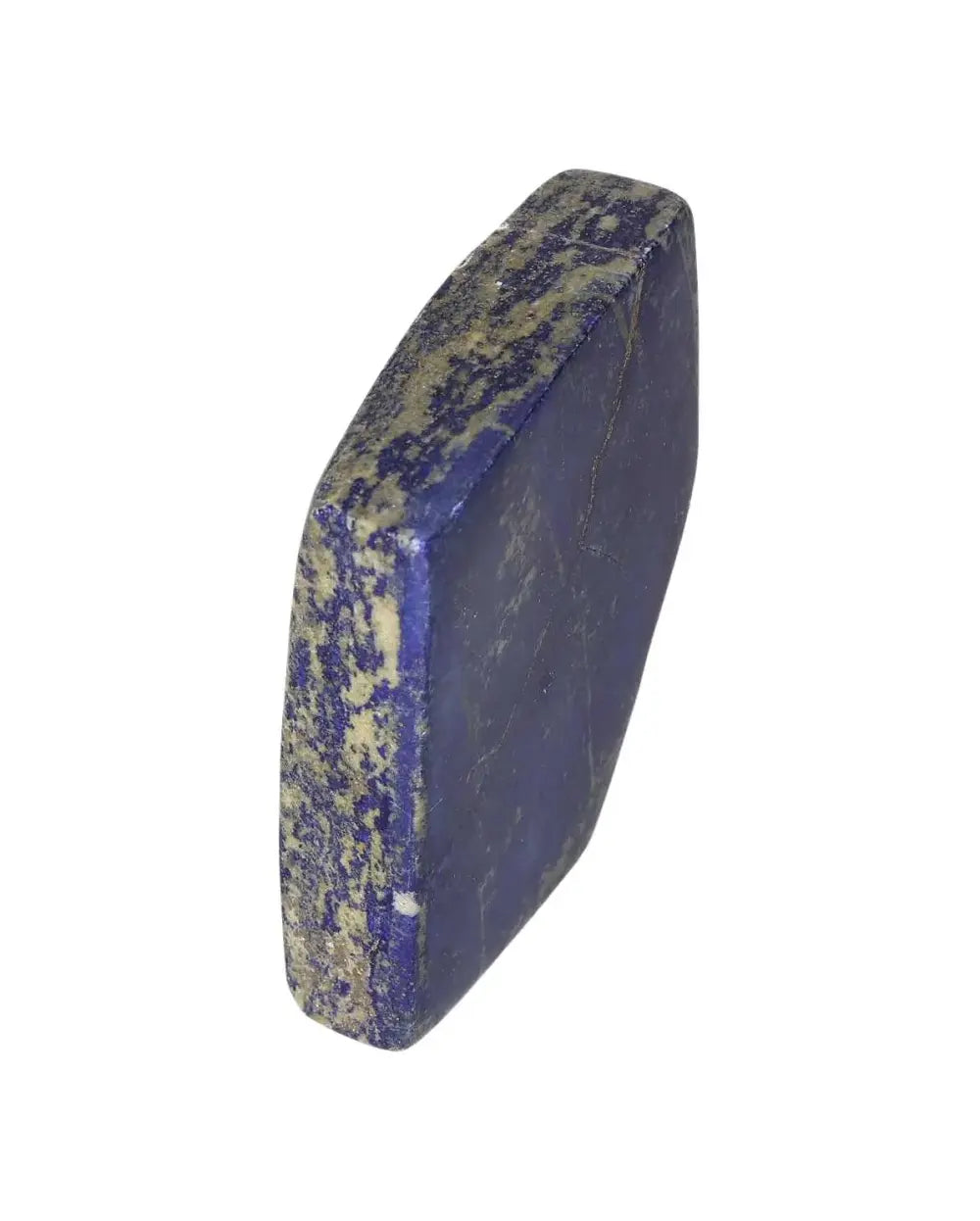 orbitvu|type:image2d