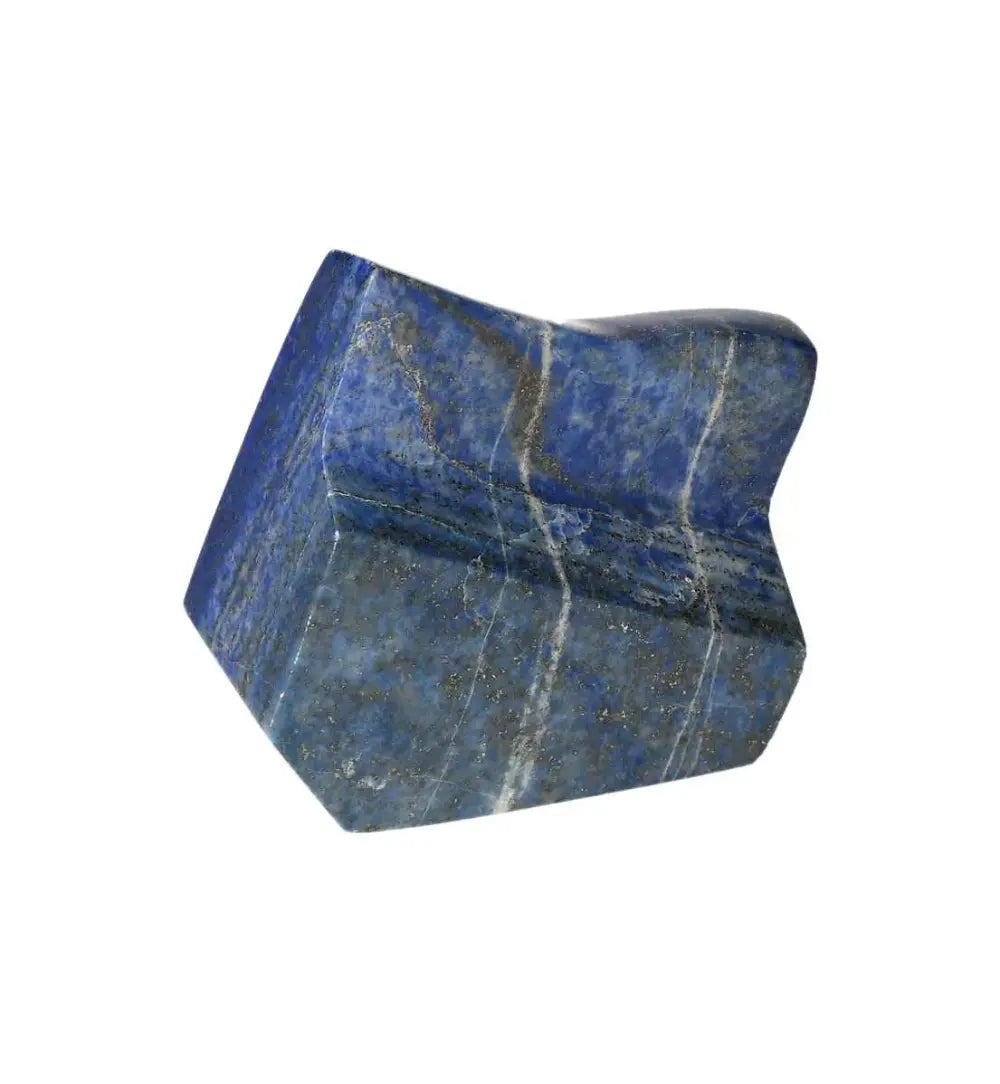 orbitvu|type:image2d