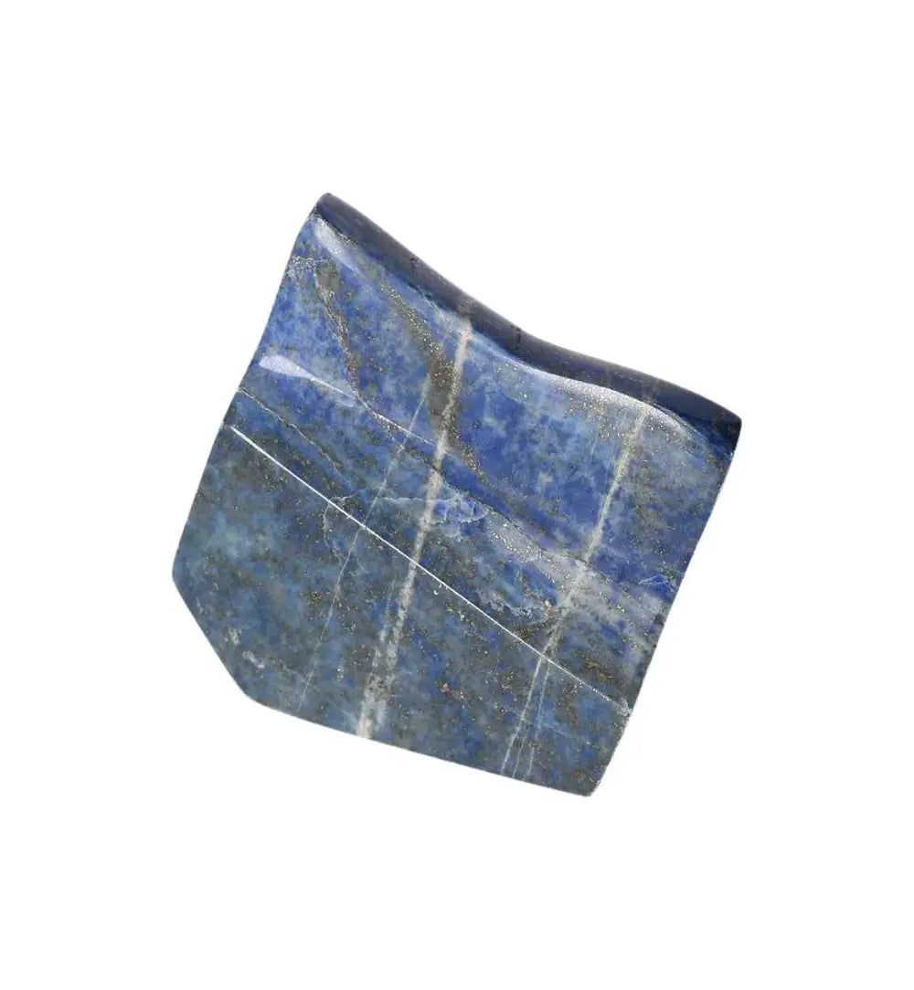 orbitvu|type:image2d