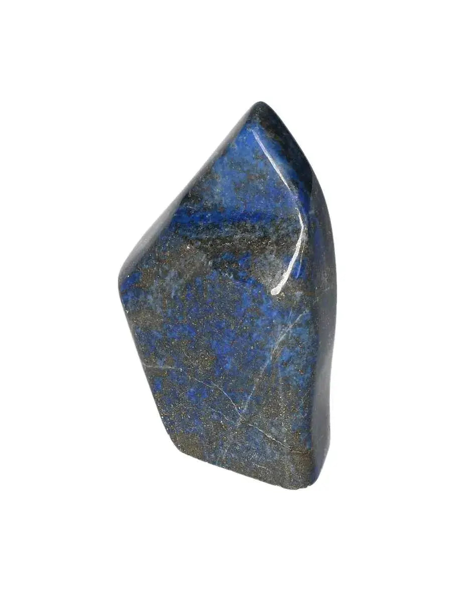 orbitvu|type:image2d