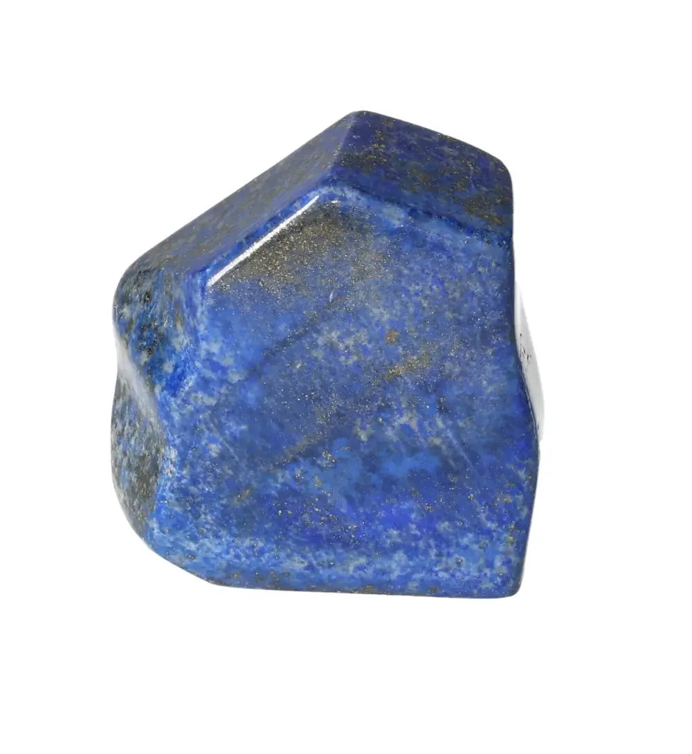 orbitvu|type:image2d