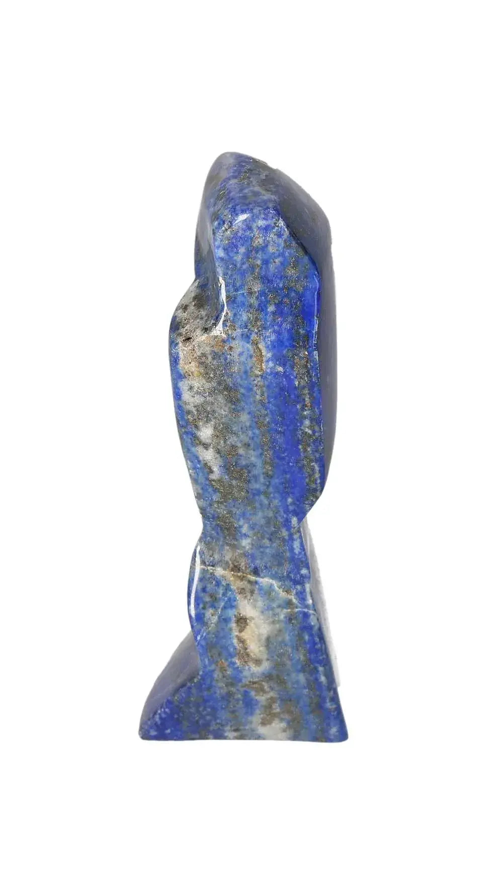 orbitvu|type:image2d