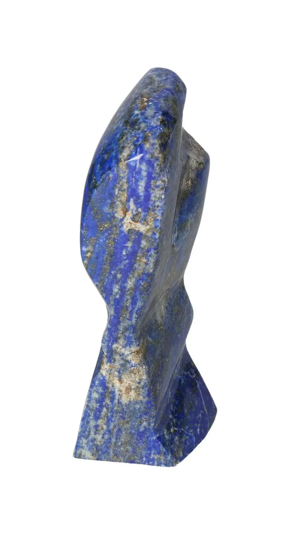 orbitvu|type:image2d