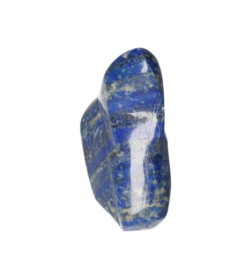 orbitvu|type:image2d