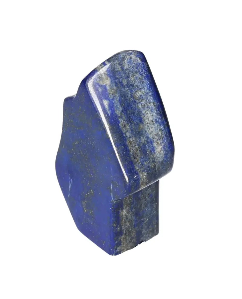 orbitvu|type:image2d