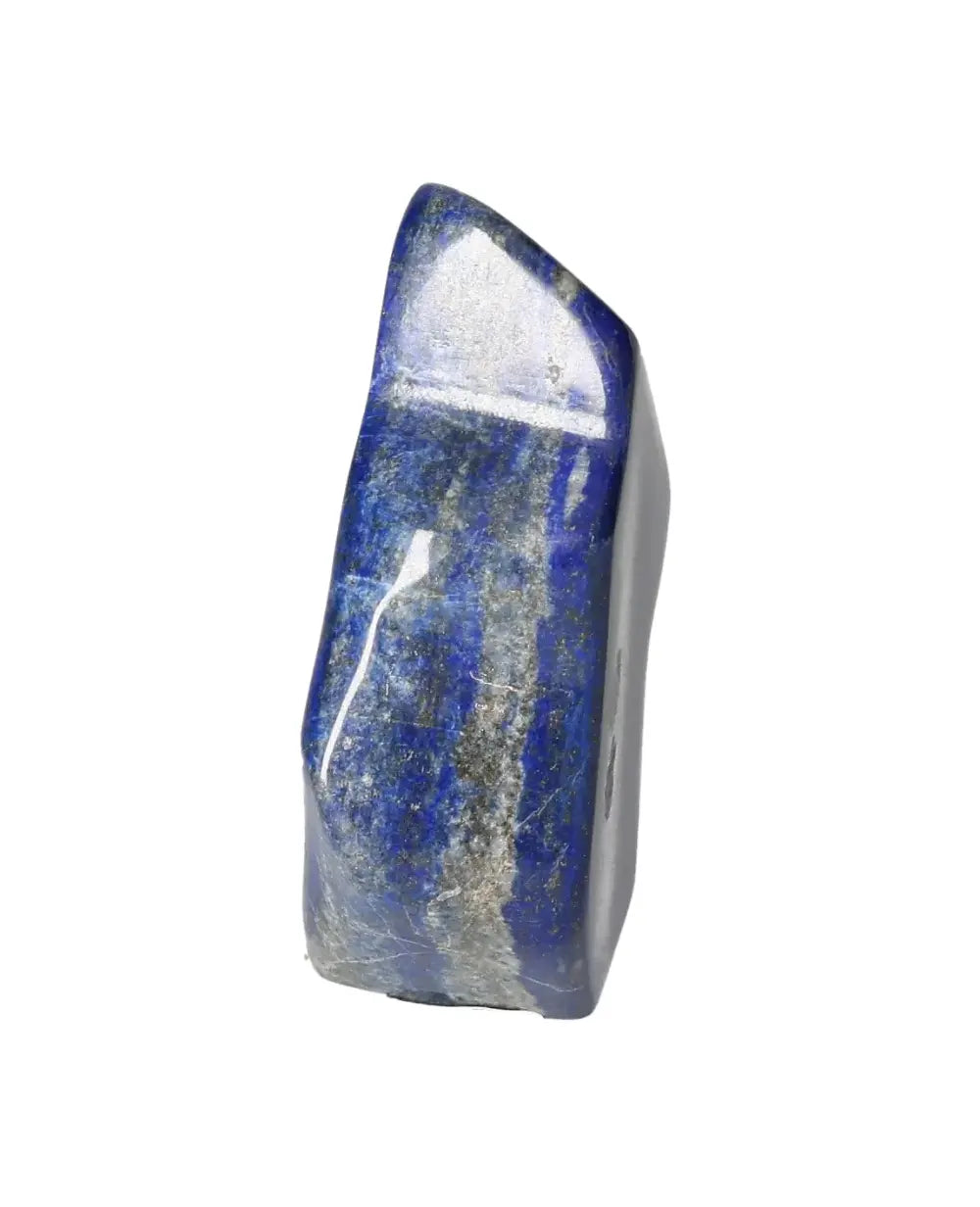 orbitvu|type:image2d