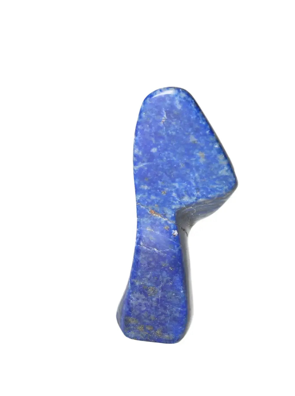 orbitvu|type:image2d