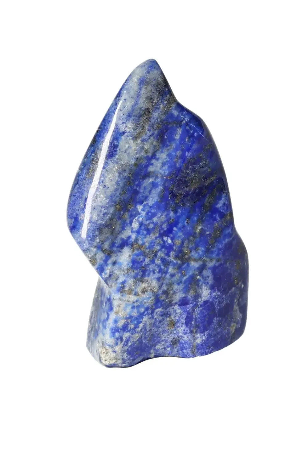 orbitvu|type:image2d