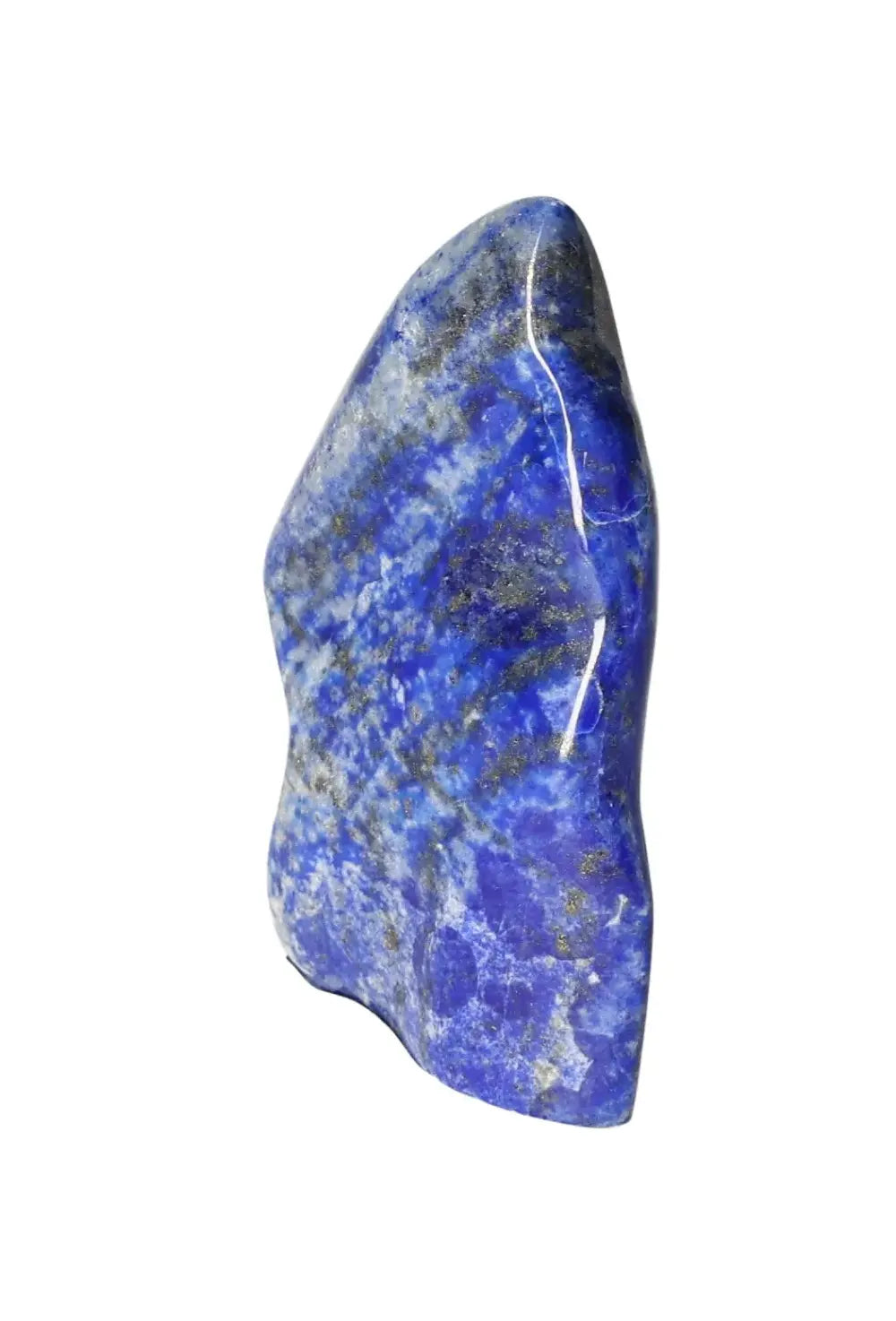 orbitvu|type:image2d