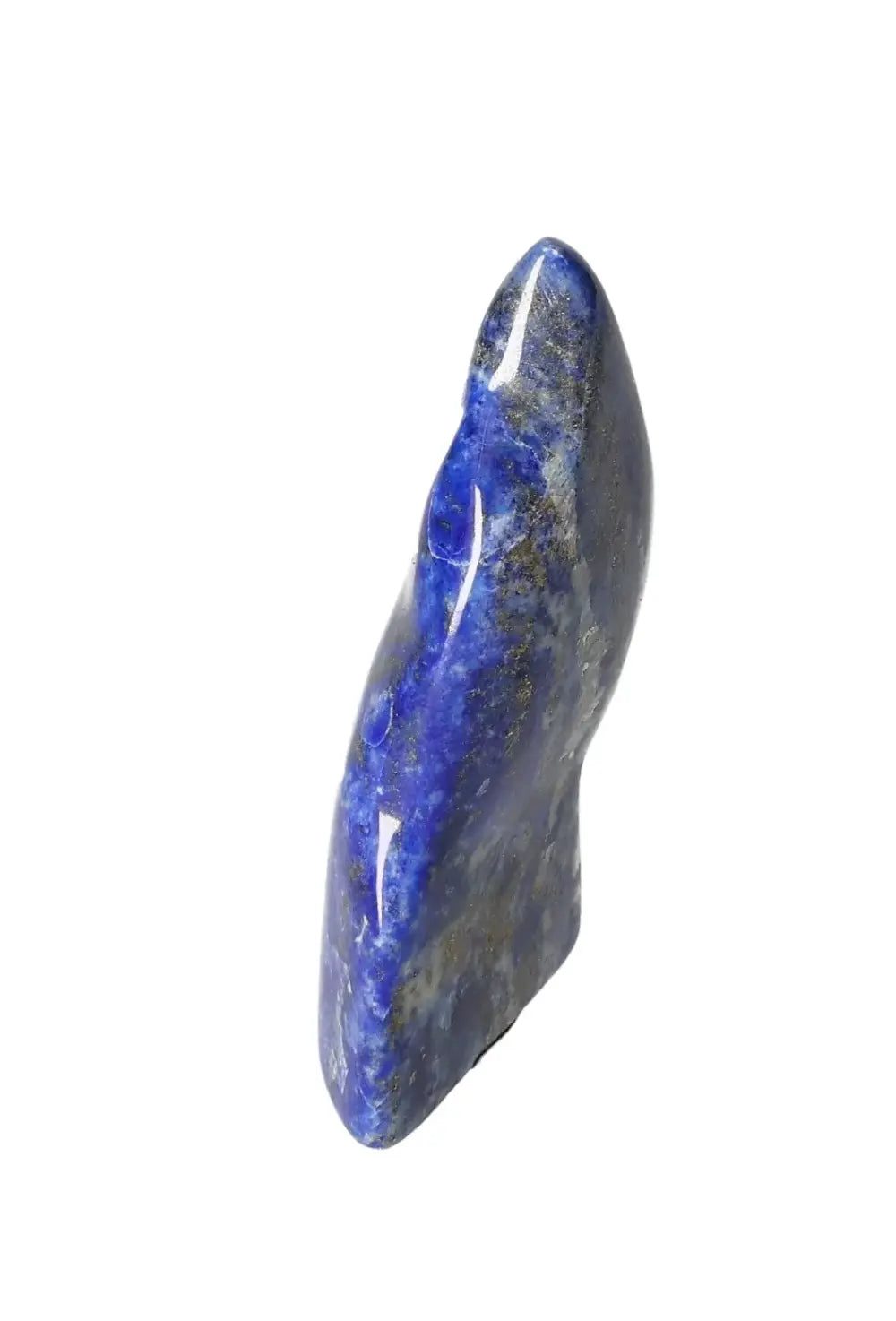 orbitvu|type:image2d