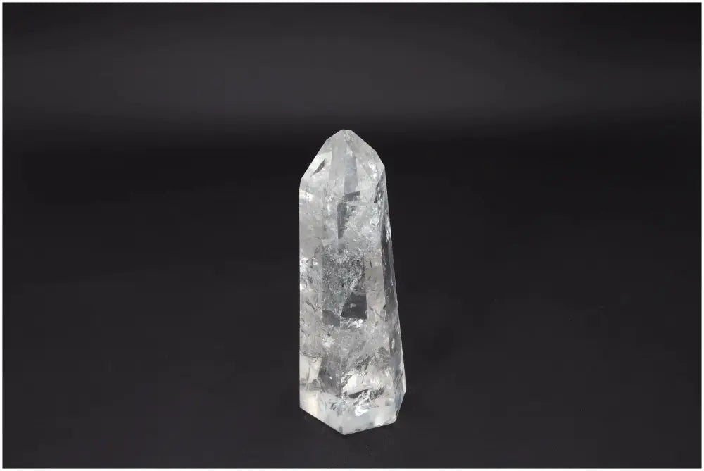 orbitvu|type:image2d