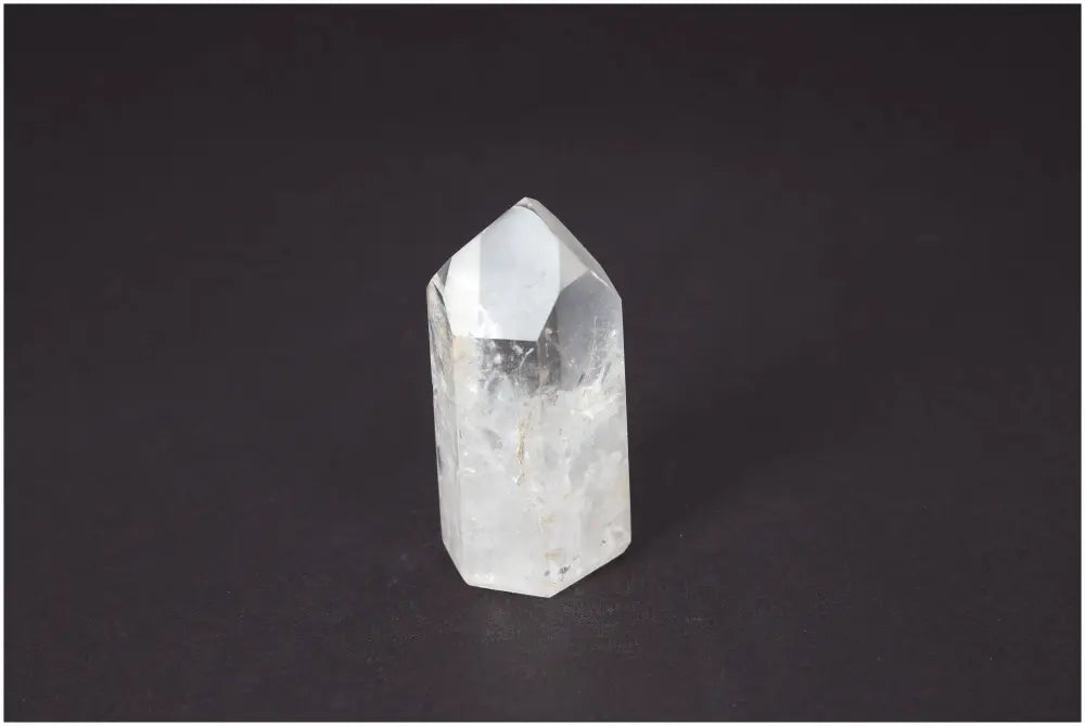 orbitvu|type:image2d