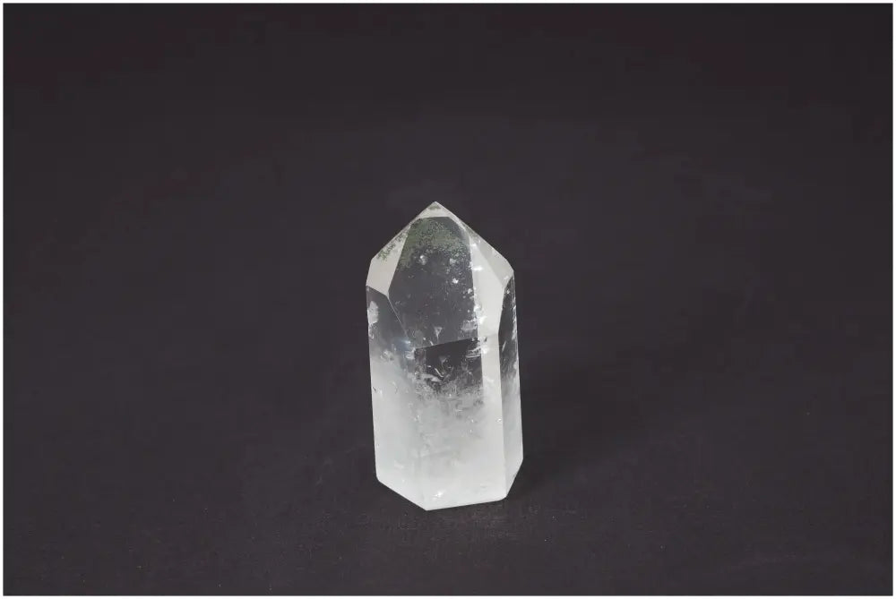 orbitvu|type:image2d