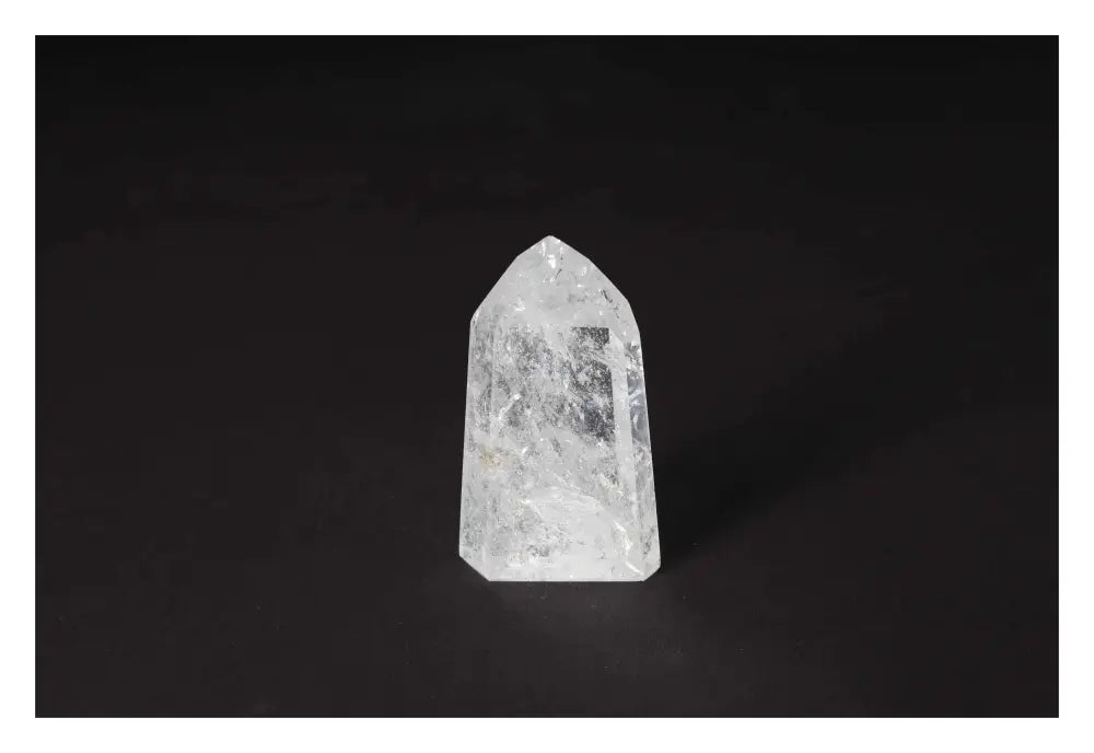 orbitvu|type:image2d