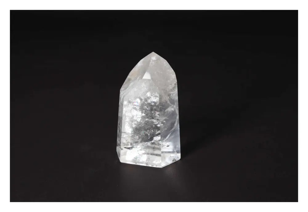 orbitvu|type:image2d