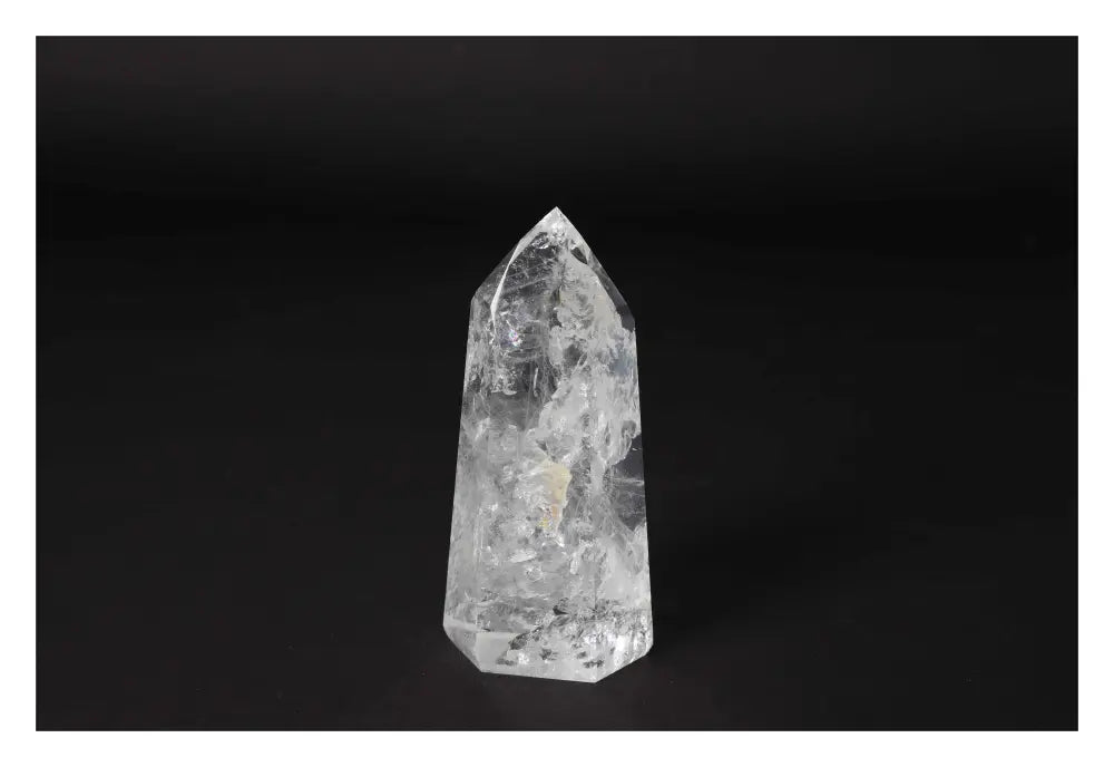 orbitvu|type:image2d