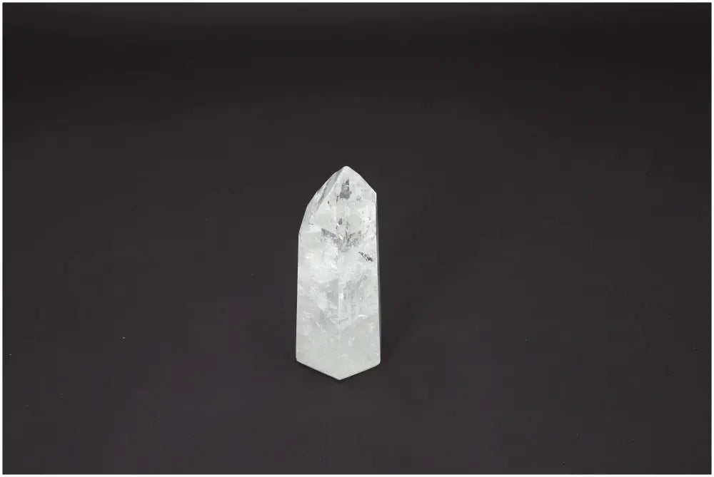 orbitvu|type:image2d