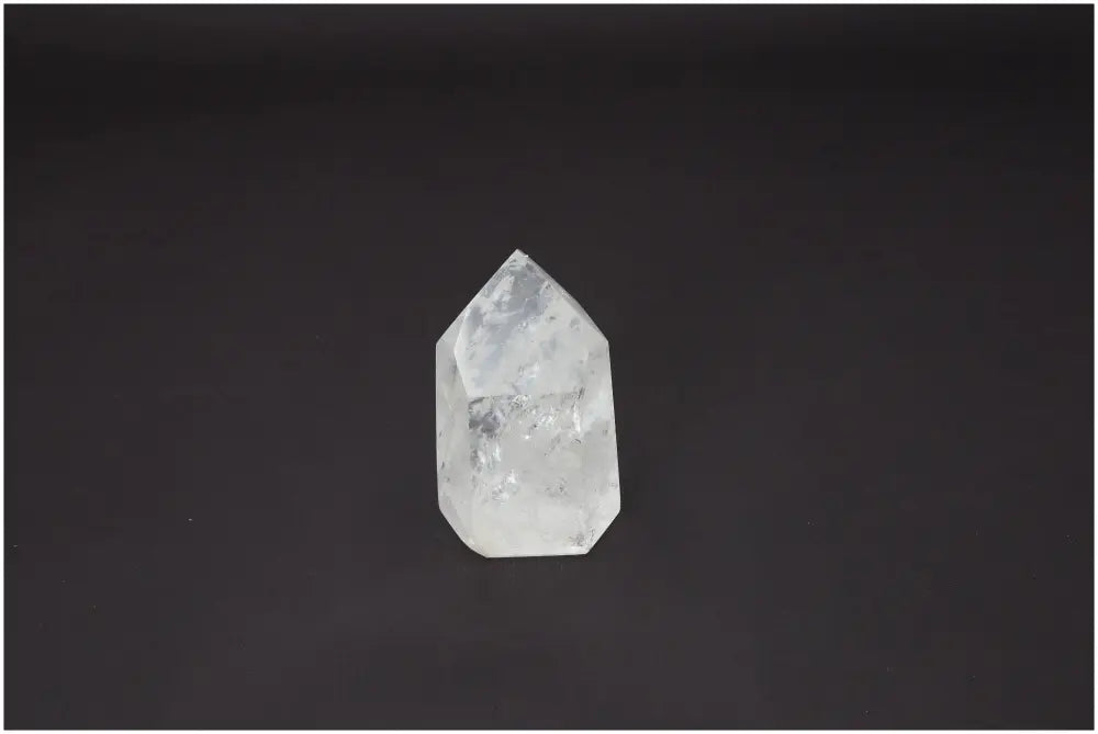 orbitvu|type:image2d