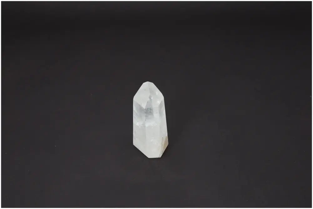 orbitvu|type:image2d