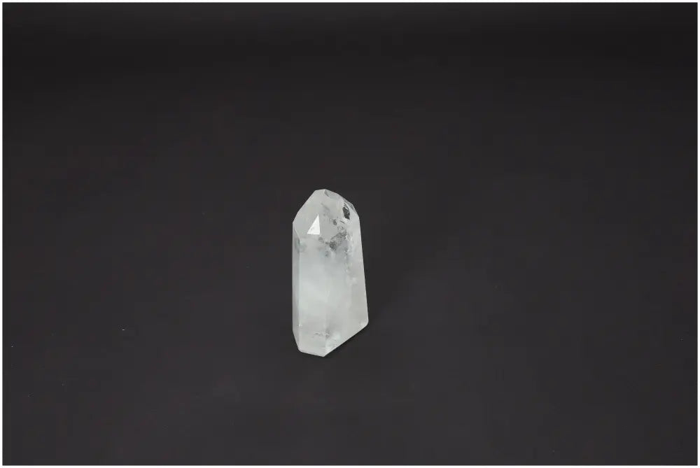 orbitvu|type:image2d