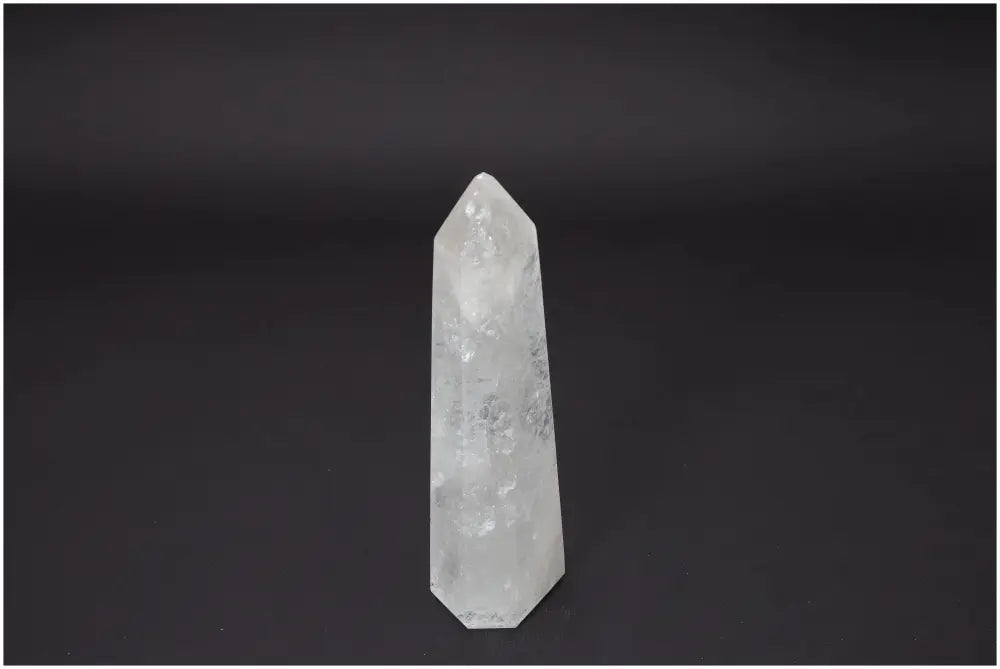 orbitvu|type:image2d