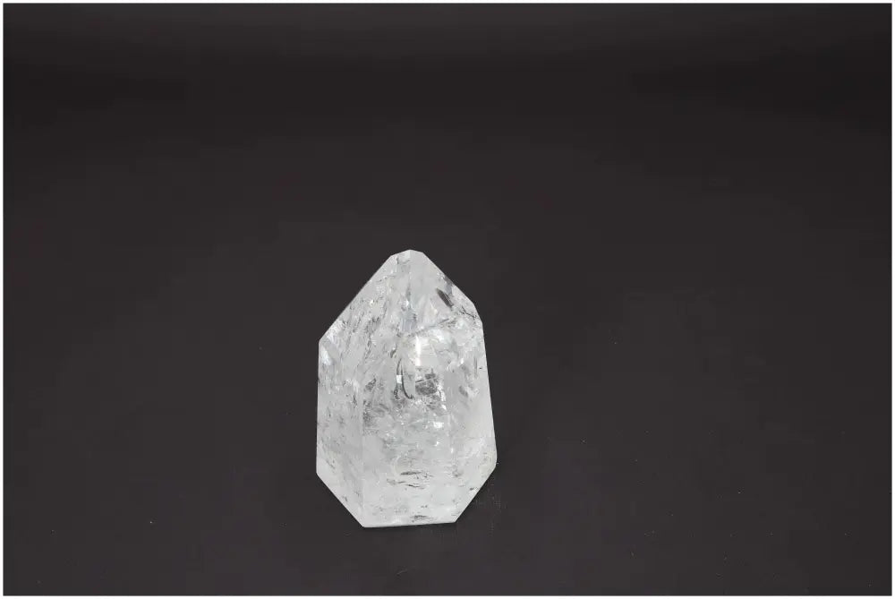 orbitvu|type:image2d