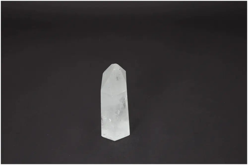 orbitvu|type:image2d